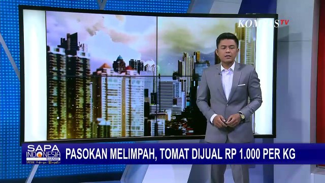Petani Tomat di Malang Rugi Akibat Harga Anjlok, Alihkan Tanam Selada