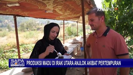 Produksi Madu di Irak Utara Anjlok Akibat Pertempuran