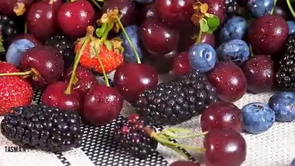 The Supply Chain Report News Roundup - 9th September 2024