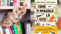 4 libri sul mondo dei gatti: protagonisti meravigliosi felini