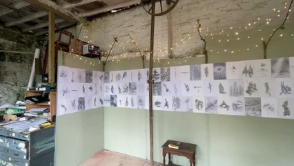 Tim Backhouse's sketches (Will Goddard, Crediton Courier)