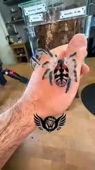 Baby_vs_Young_Animal_Transformation_|| #shortfeed