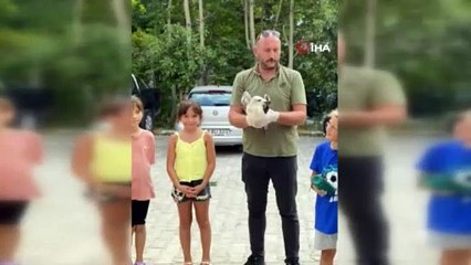 Sinop’ta tedavisi tamamlanan martı doğaya salındı