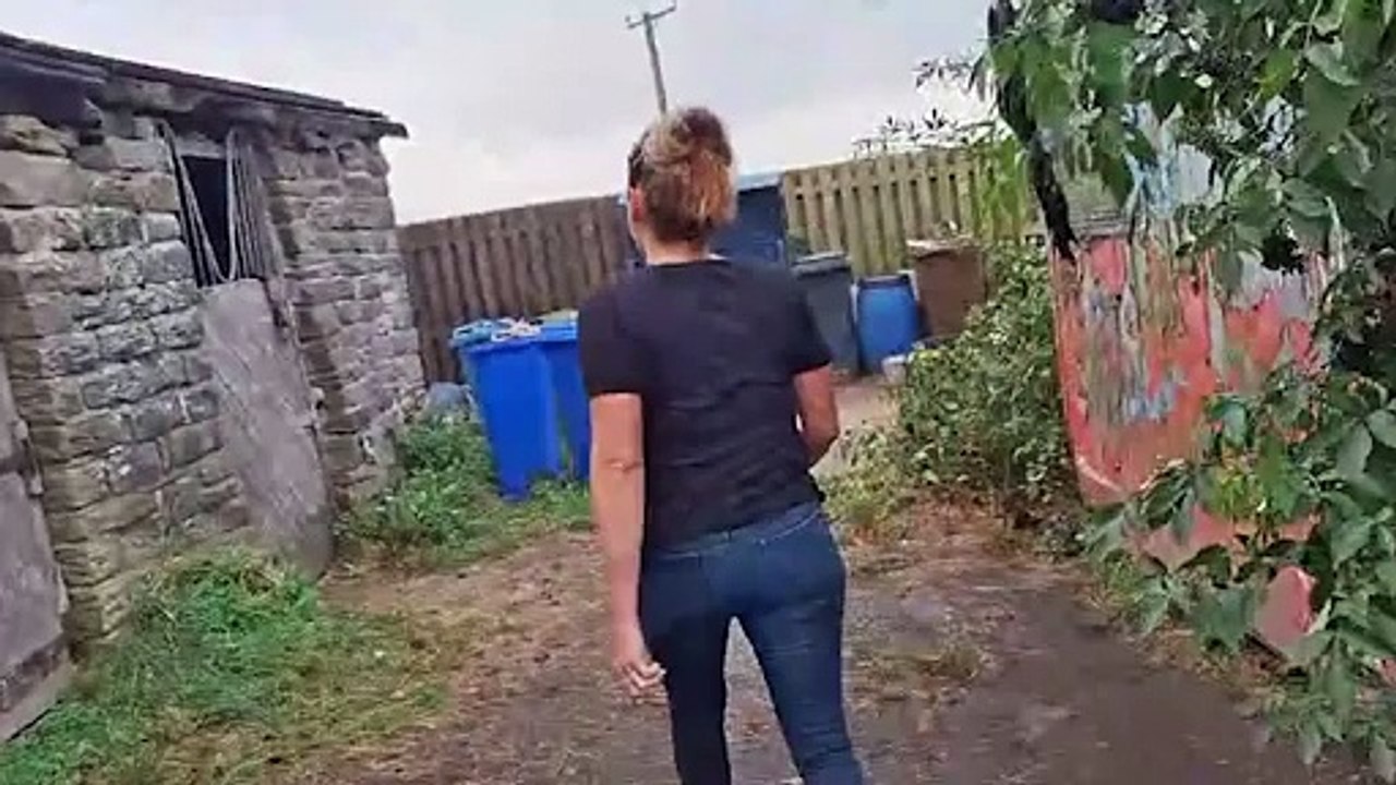 Watch the emotional moment Stacey Gill is reunited with her horse Mr Sheffield over a year after he was stolen