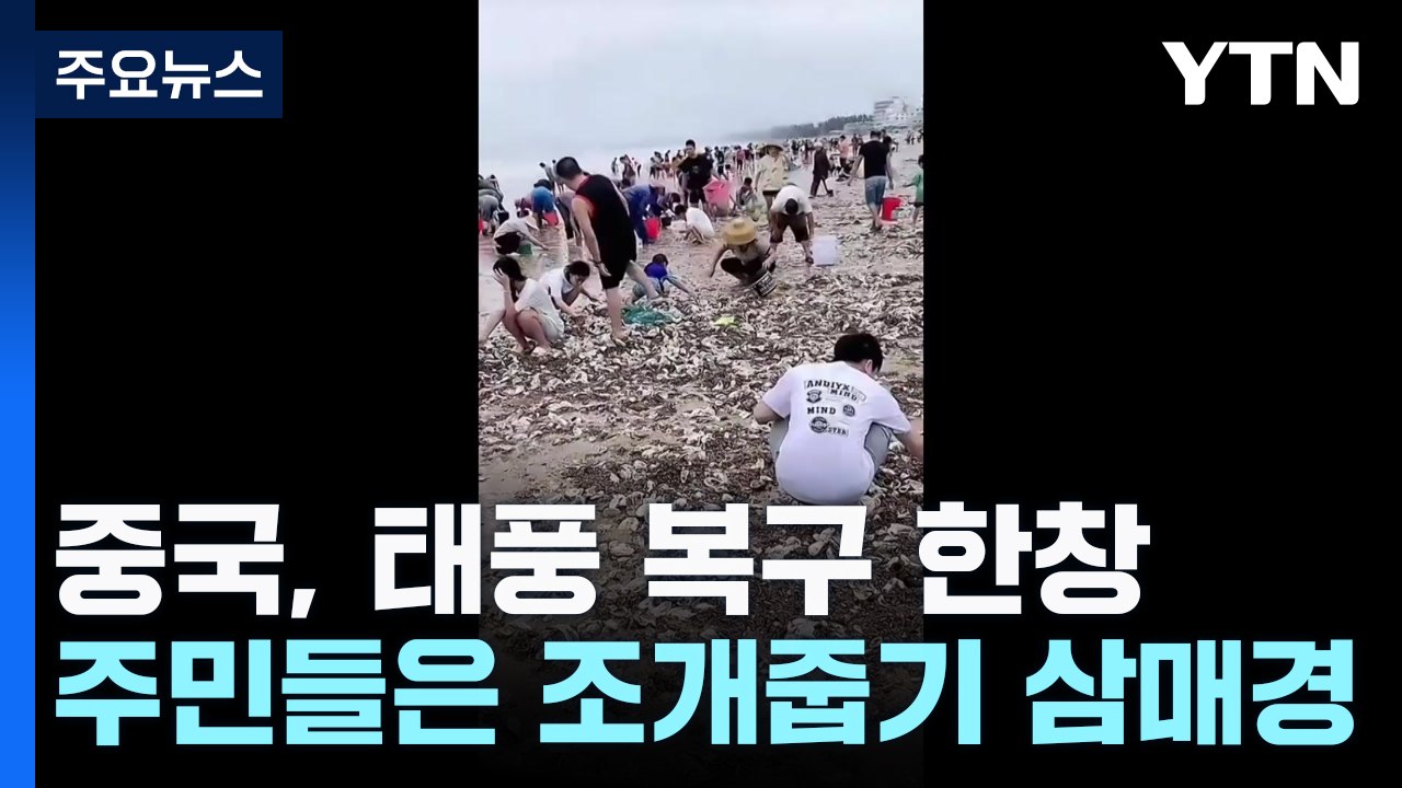 중국 하이난 태풍 복구 한창인데...야자·조개 줍기 삼매경 / YTN