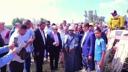 محافظ كفر الشيخ يشارك المزارعين حصاد الأرز في يوم عيدهم  ويسلم 20 عقد تقنيين و20 آلة زراعية لهم
