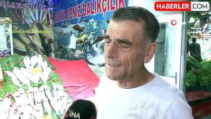İstanbul'da Palamut Bolluğu: Fiyatlar 100 Liraya Kadar Düştü