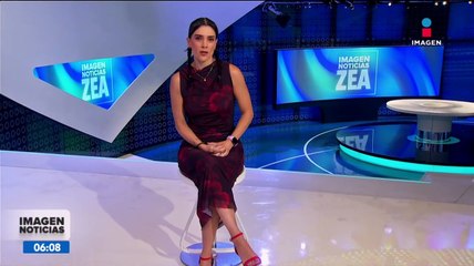 Muere Pacus, jaguar rescatado de un basurero en Hidalgo