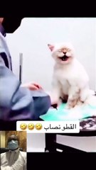 😂 Hilarious Short Video to Make You Smile! | Funny & Cute Moments