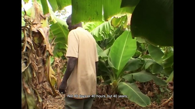 Les Voix croisées Bande-annonce VF