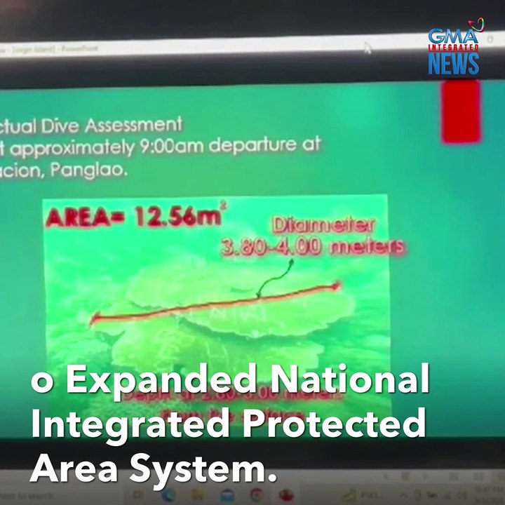 Tourist guide, vandal? Coral reefs sa Bohol, sinulatan! | GMA Integrated Newsfeed