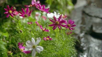 Mujer Todo por mis hijos Capitulo 11 Gran final