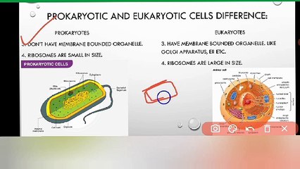 Difference between prokaryotic and eukaryotic cells 9 class | Lec # 16 | chp #4| cells and tissues