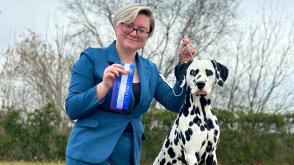 Meet Perseus, the dalmatian pup with heart-shaped spots around his eyes