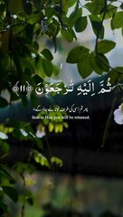 Islamic videos Quran stories