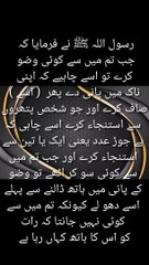 Wazo ka sahe triqa ! Istnja ka triqa