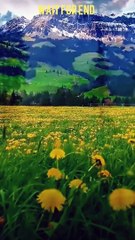 Islamic viral short, Islamic shorts, viral video