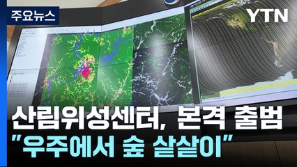 "우주에서 숲 샅샅이"...산림위성센터, 본격 출범 / YTN