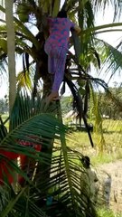 do not take what is not ours✅️