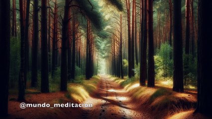 Meditación Guiada para Encuentra Paz y Alivio Inmediato