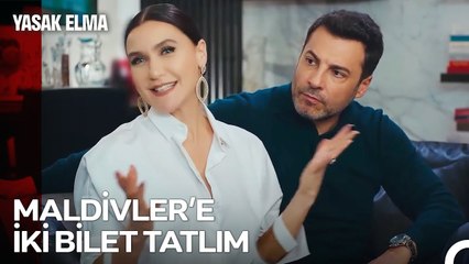 Kaya ve Ender İçin Sürpriz Balayı Tatili - Yasak Elma 67. Bölüm
