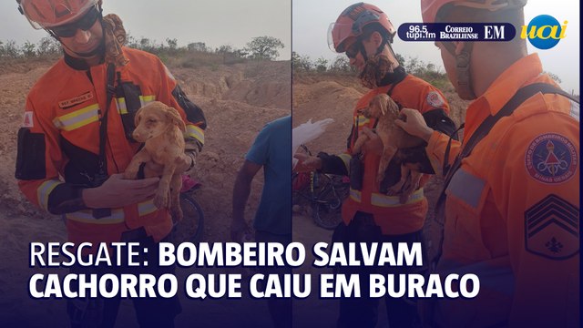 Corpo de Bombeiros fazem resgate de cachorro que caiu em buraco