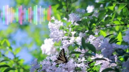 Resumen del Rumpy  semana 28