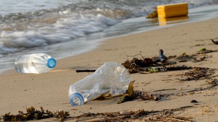 Salary increase for Severn Trent boss despite sewage spill fine