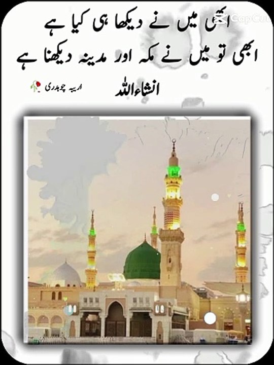 Nice vedio