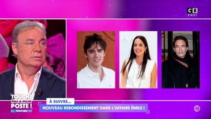 Héritage d'Alain Delon : les révélations autour de sa succession