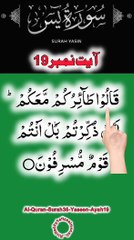 Al-Quran - Surah 36 - Yaseen - Ayah 19 | daily tilawat quran | hafiz salman ali
