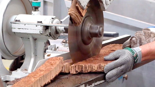 How the world's largest cork company makes 22 million wine stoppers a day