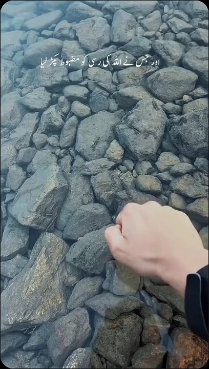 Quran || Holy Quran || Quran video || Recite