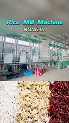 40t/d Rice Mill Plant-Rice Process Machinery Manufacturer