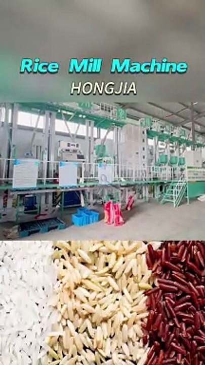 40t/d Rice Mill Plant-Rice Process Machinery Manufacturer