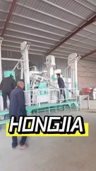 25T/D Complete Rice Milling Machine for Sale - Hongjia Rice Mill #ricemillsupplier #ricemillmachine