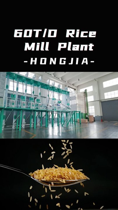 60T/D Rice Milling Processing Machine | Rice Mill Machines for Sale #ricemillsupplier #ricemill