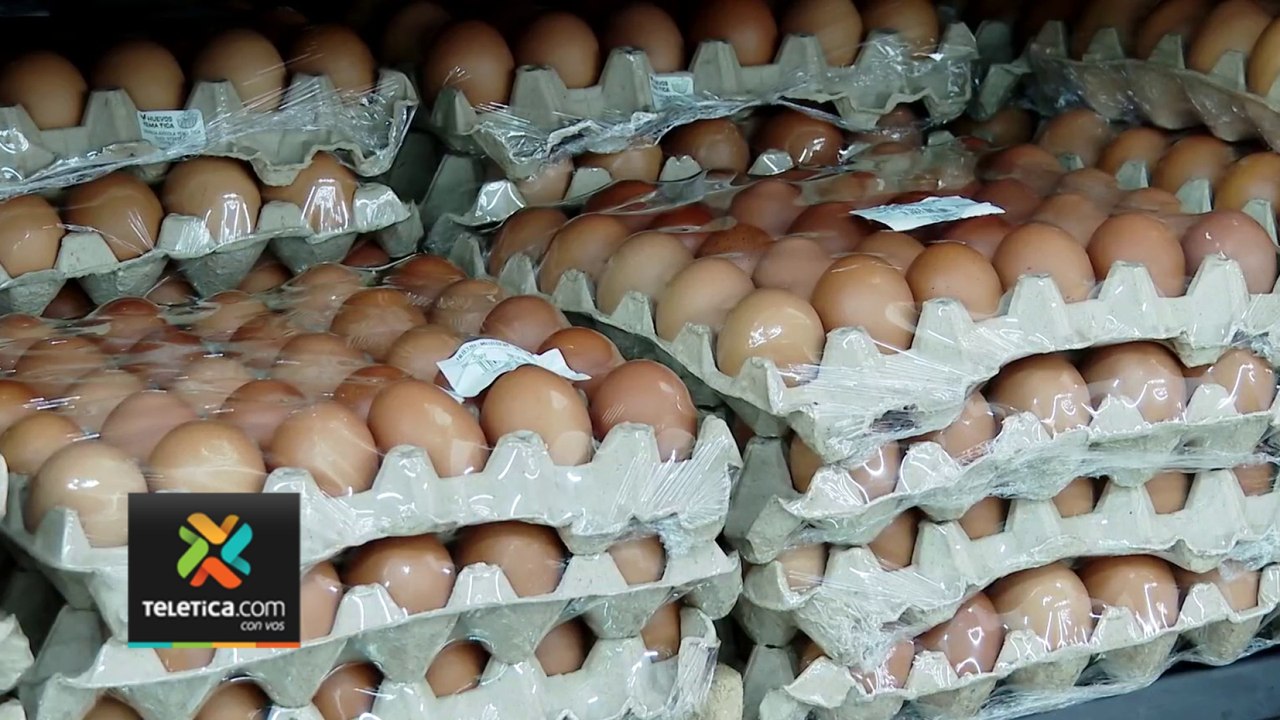 tn7-Precio de los huevos subió casi un 14% en el último mes-100924