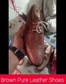 Brown Pure Leather Shoes