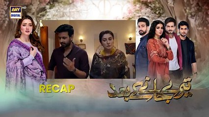 Teray Janay Kay Baad Episode 30 - 9 Sep 2024