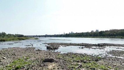 폴란드 비스툴라강 수위 역대 최저...극심한 가뭄 영향 / YTN