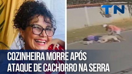 Cozinheira morre após ataque de cachorro na Serra