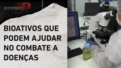 Como os estudos da Marinha podem ajudar no avanço da ciência? | DOCUMENTO JP