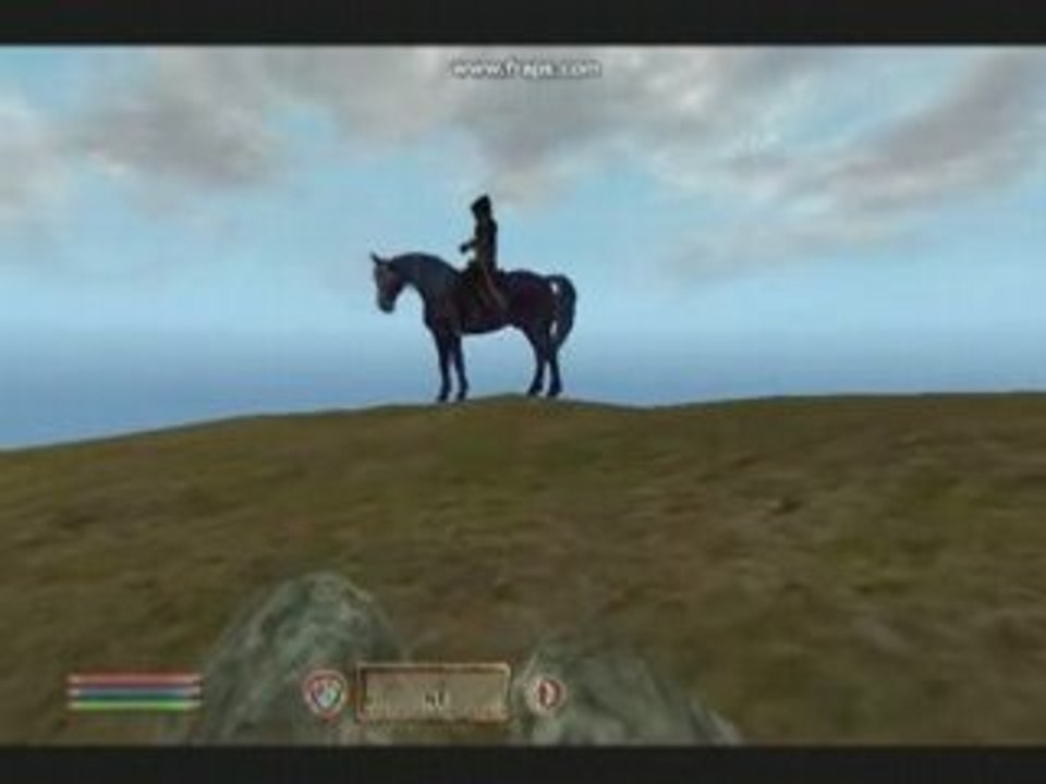 AMV oblivion
