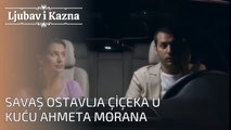 Rat i mačeta se vraćaju kući | Ljubav i Kazna - Epizoda 26
