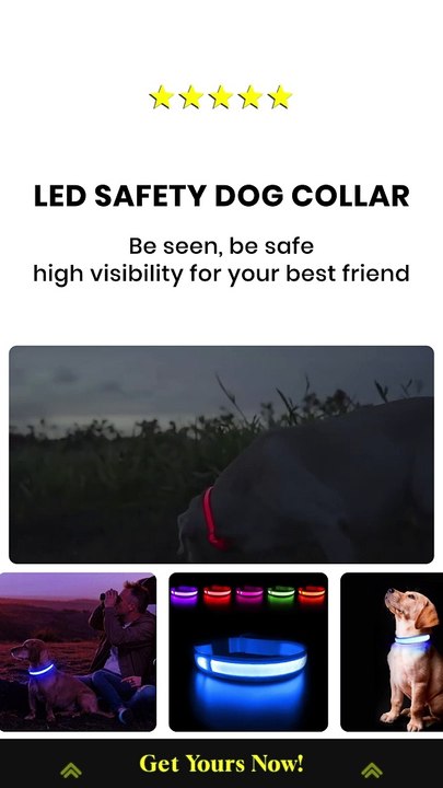 LED Safety Dog Collar