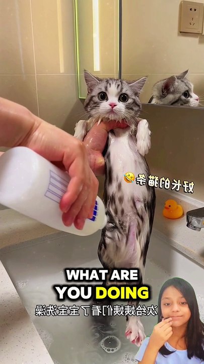 What's on my head..
