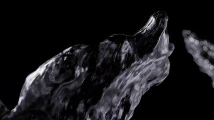 Introducing Apple Watch Series 10