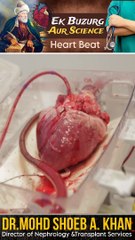 "Invest in Knowledge, Grow with Confidence"