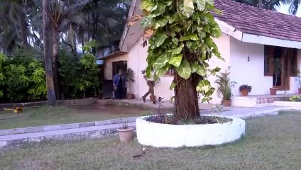 एक Hacker ने क्यों किया CID को Confuse_ _ CID _ TV Serial Latest Episode(480P)